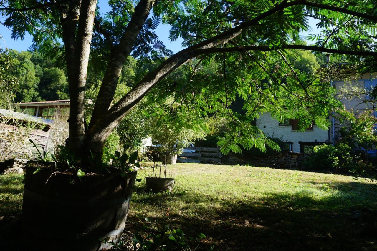 Villa Les Hiboux à Castelnau-Durban Extérieur photo